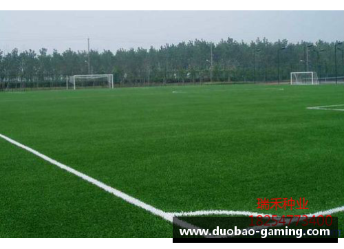 球员滑草坪：打造足球之家